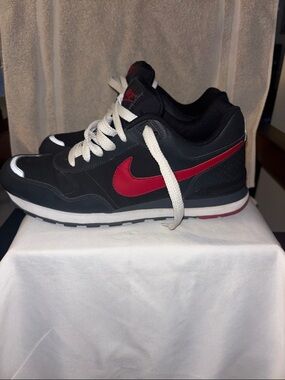 Nike Men's Air Pegasus